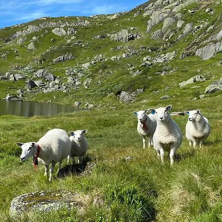 Authentic Life With Loefjell View * Rysstad