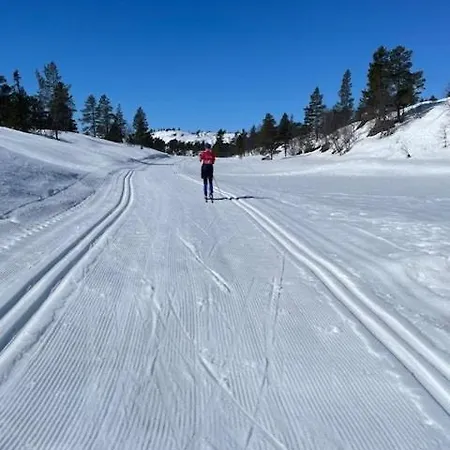 Authentic Life With Loefjell View Сasa de vacaciones Rysstad
