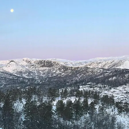 Authentic Life With Loefjell View *