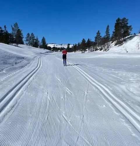 Hébergement de vacances Authentic Cabin Life With Loefjell View